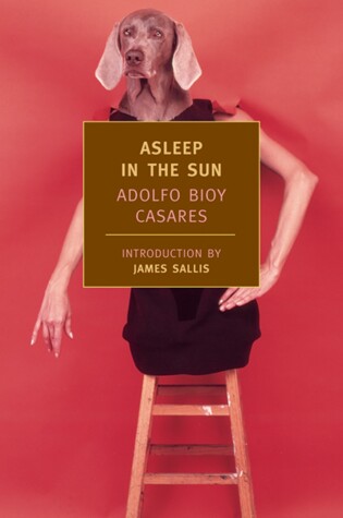 Cover of Asleep in the Sun