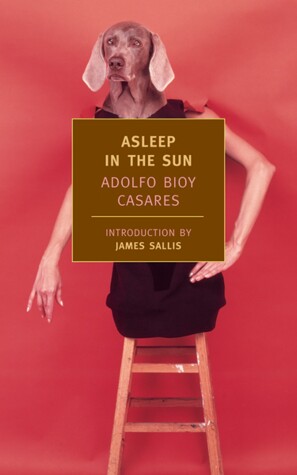 Cover of Asleep in the Sun