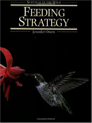 Book cover for Feeding Strategy