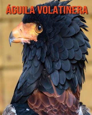 Book cover for Águila volatinera