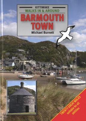Book cover for Walks in and Around Barmouth Town