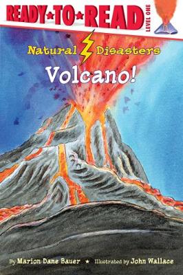 Book cover for Volcano!