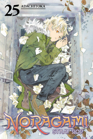 Cover of Noragami: Stray God 25