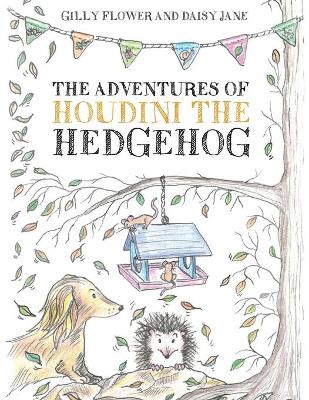 Book cover for The Adventures of Houdini the Hedgehog