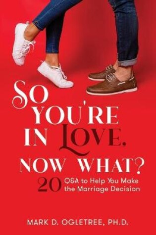 Cover of So You're in Love, Now What?: 20 Q&A to Help You Make the Marriage Decision