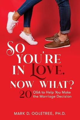 Book cover for So You're in Love, Now What?: 20 Q&A to Help You Make the Marriage Decision