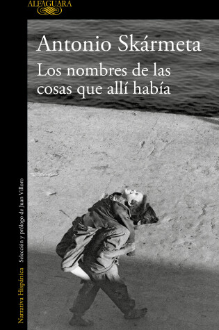 Cover of Los nombres de las cosas que allí había / The Names of the Things That Were There