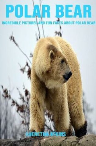 Cover of Polar Bear