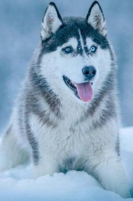 Book cover for Snow Husky Dog