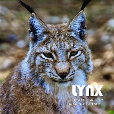 Book cover for Lynx Calendar 2019