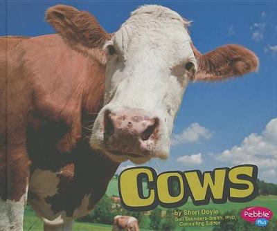 Cover of Cows