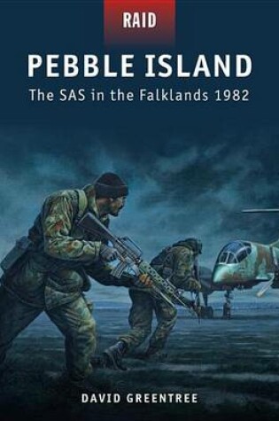 Cover of Pebble Island - the SAS in the Falklands, 1982