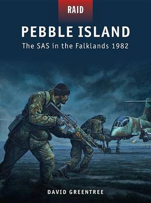 Book cover for Pebble Island - the SAS in the Falklands, 1982