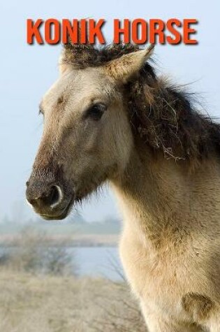 Cover of Konik Horse