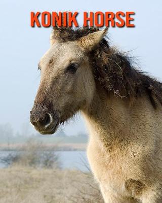 Book cover for Konik Horse