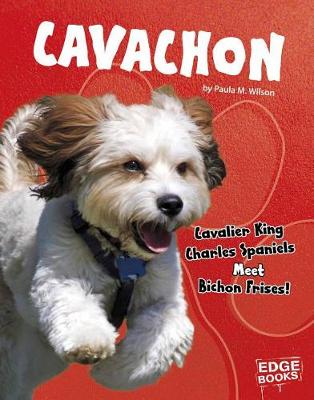 Book cover for Cavachon