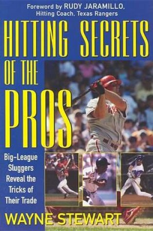 Cover of Hitting Secrets of the Pros: Big League Sluggers Reveal the Tricks of Their Trade