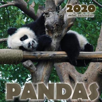 Book cover for Pandas 2020 Mini Wall Calendar