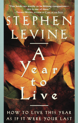 Book cover for A Year to Live