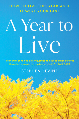 Cover of A Year to Live