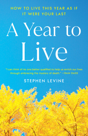 Book cover for A Year to Live