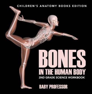 Book cover for Bones in the Human Body: 2nd Grade Science Workbook Children's Anatomy Books Edition