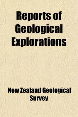 Book cover for Reports of Geological Explorations (Volume 21)