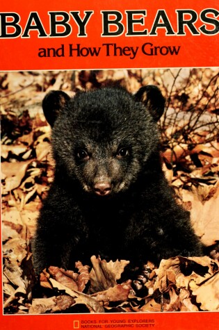 Cover of Baby Bears and How They Grow