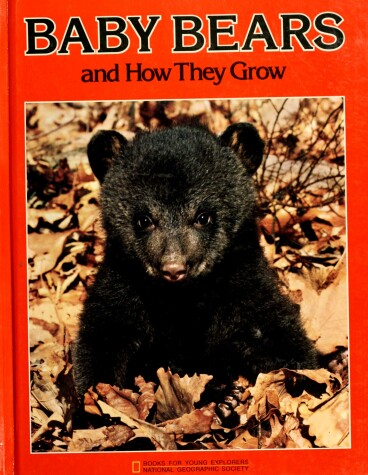 Book cover for Baby Bears and How They Grow