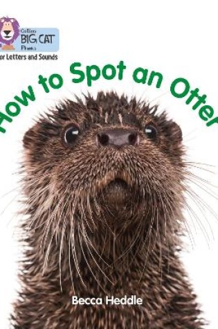 Cover of How to Spot an Otter