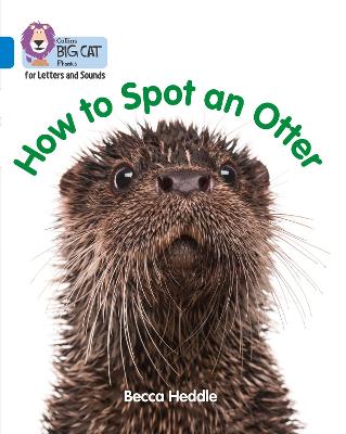 Book cover for How to Spot an Otter