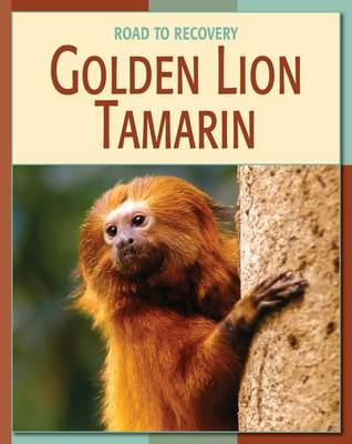 Book cover for Golden Lion Tamarin