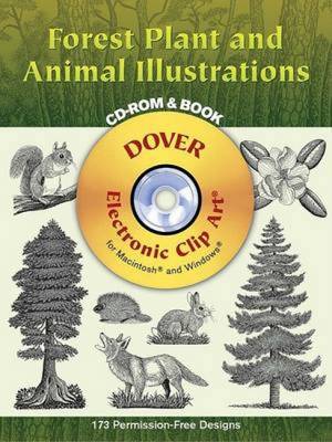 Book cover for Forest Plant and Animal Illustrations