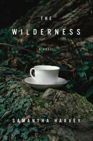 Cover of The Wilderness