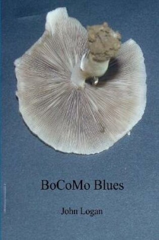 Cover of BoCoMo Blues