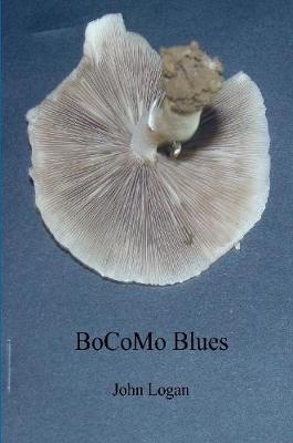 Book cover for BoCoMo Blues