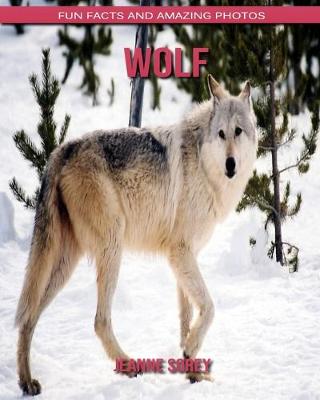 Book cover for Wolf