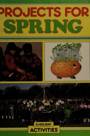 Cover of Projects for Spring & Holiday Activities