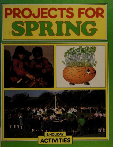 Cover of Projects for Spring & Holiday Activities