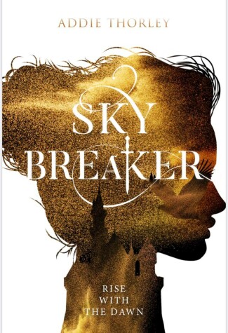Book cover for Sky Breaker
