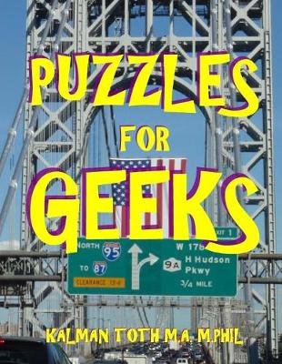 Book cover for Puzzles for Geeks