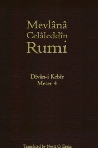 Cover of Divan-I Kebir, Meter 4