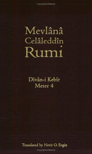 Cover of Divan-I Kebir, Meter 4