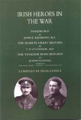 Book cover for Irish Heroes in the War