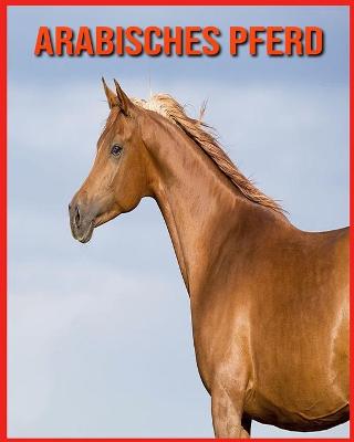 Book cover for Arabisches Pferd