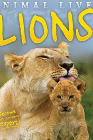 Cover of Animal Lives: Lions