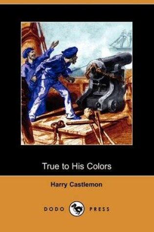 Cover of True to His Colors (Dodo Press)