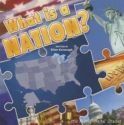 Book cover for What Is a Nation?