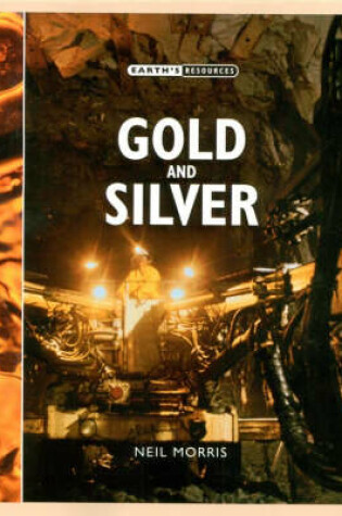 Cover of Gold and Silver