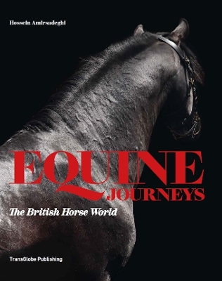 Book cover for Equine Journeys: The British Horse World